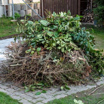 Garden Waste Clearance Services