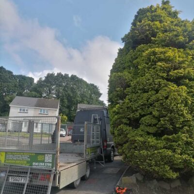 Tree Removal Cumbernauld