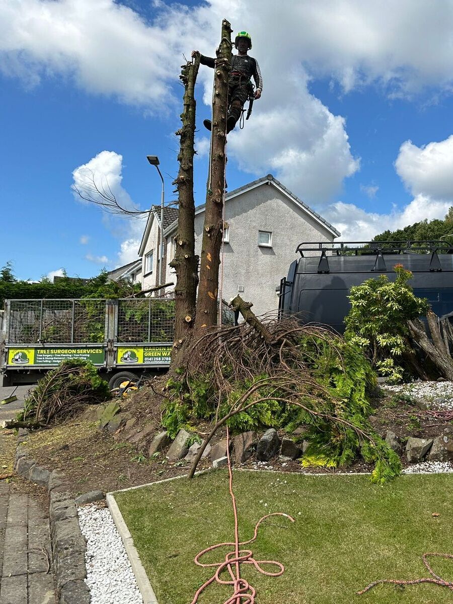 Tree Removal Cumbernauld, Glasgow