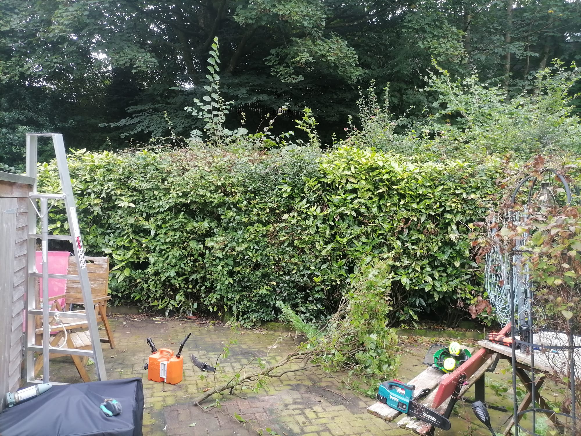 Beech Hedge Removed and a new 6 Foot Fence