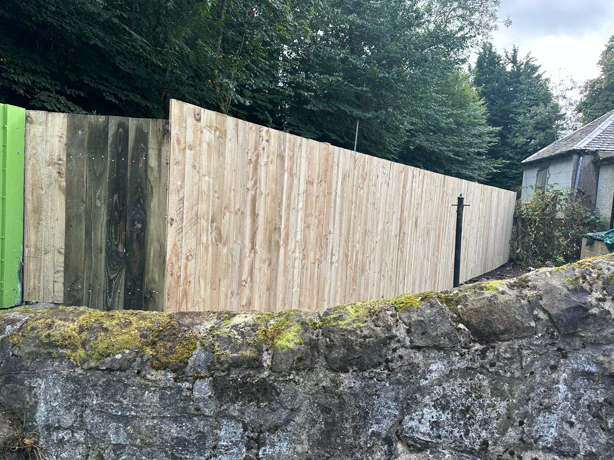 Beech Hedge Removed and a new 6 Foot Fence