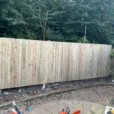 Beech Hedge Removed and a new 6 Foot Fence