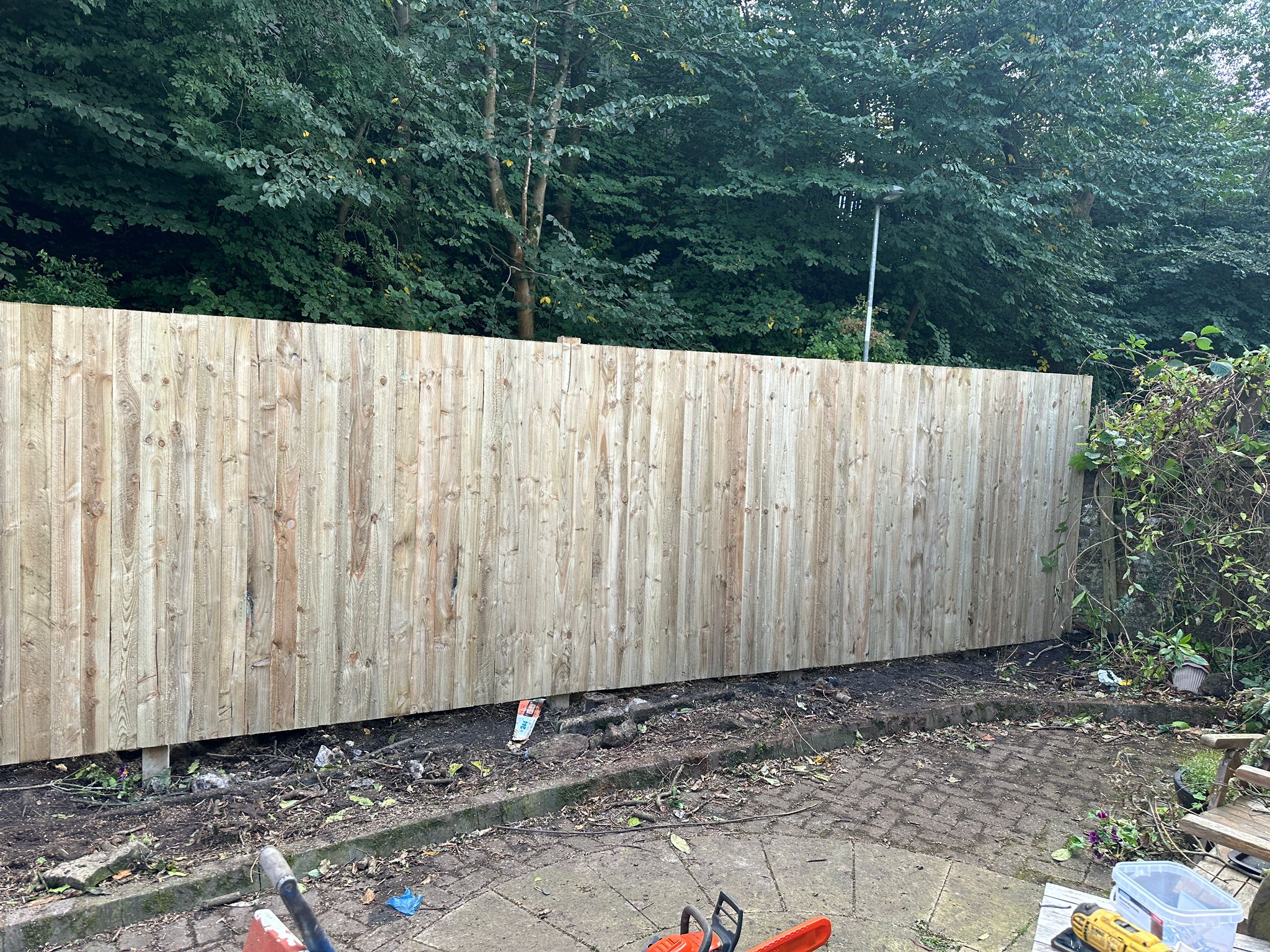 Beech Hedge Removed and a new 6 Foot Fence
