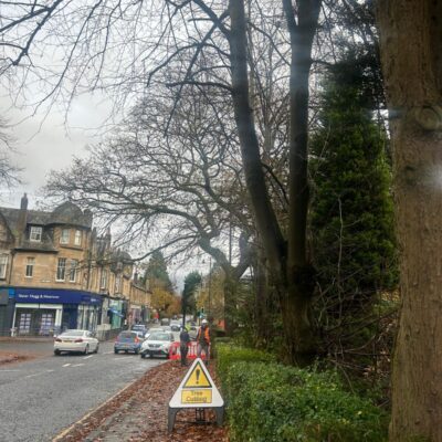 Tree Pruning in Bearsden, Glasgow
