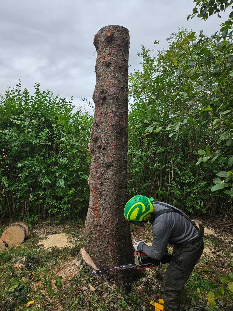 Barmulloch Tree Surgeons
