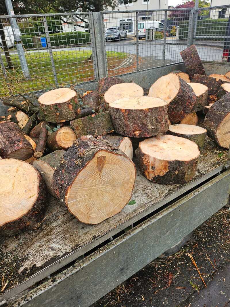 Barmulloch Tree Surgeons