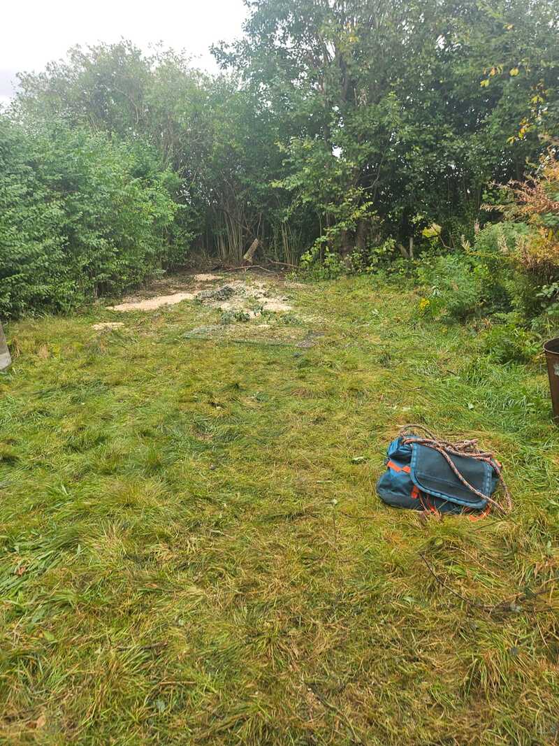 Barmulloch Tree Removal