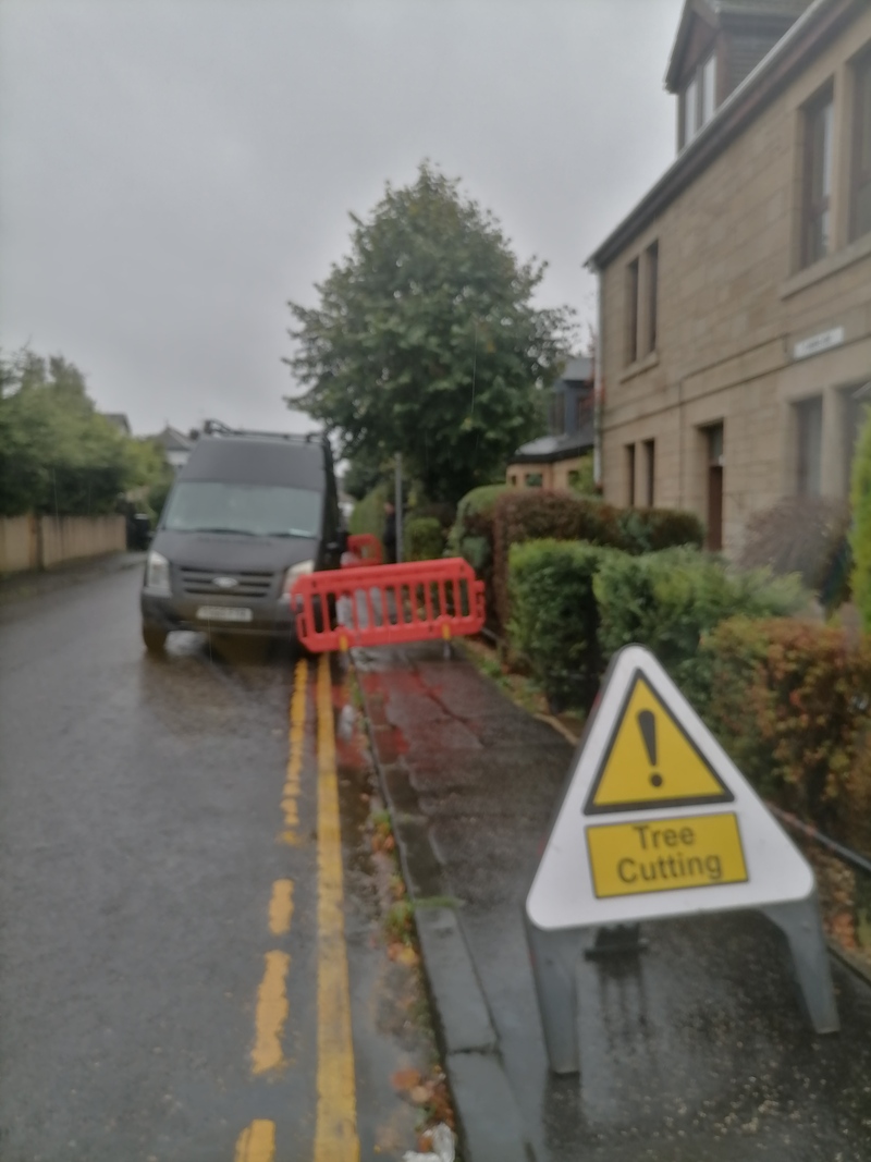 Kirkintilloch Repollarding