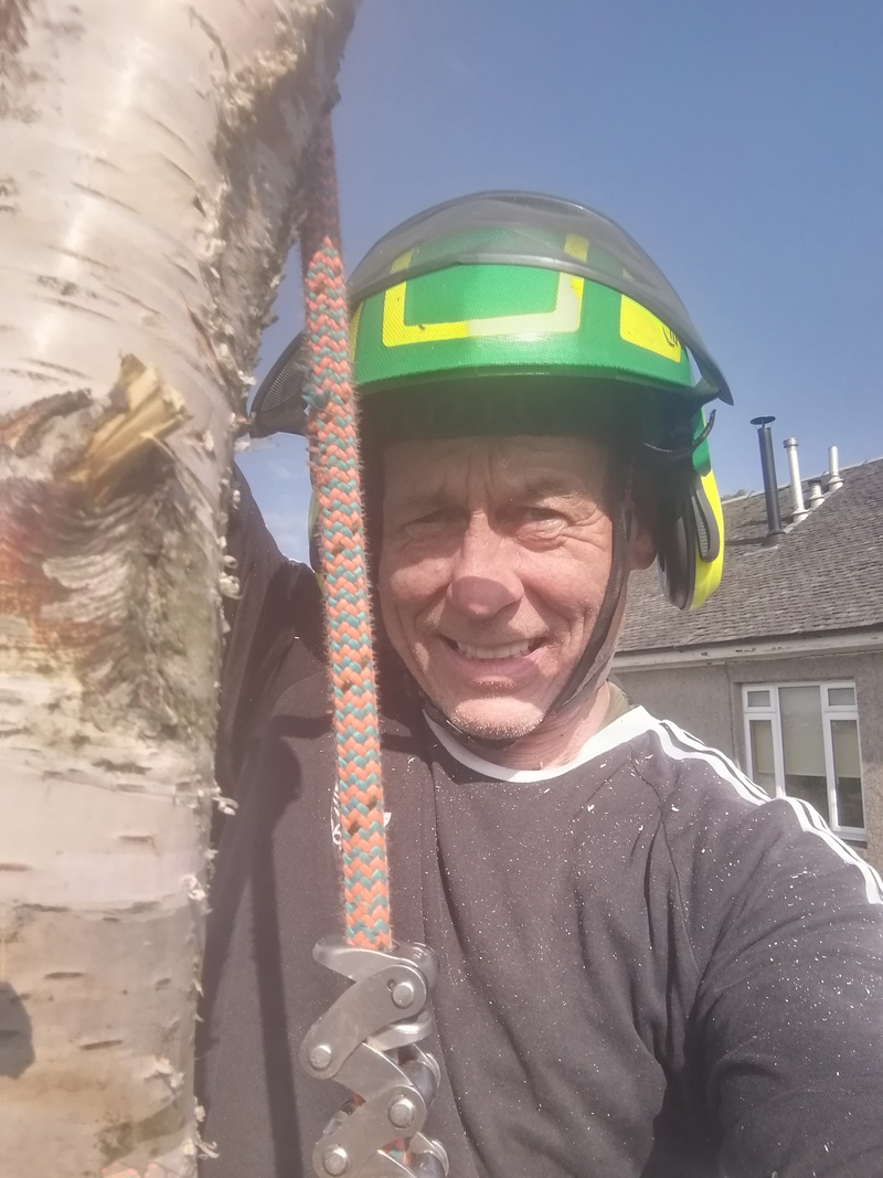 Kirkintilloch Tree Removal