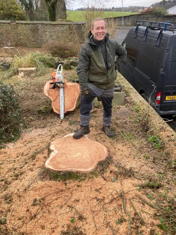 Large Tree Removal Lennoxtown