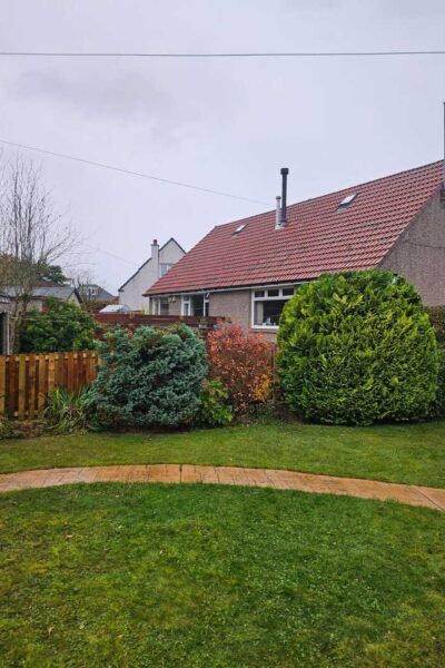 Lenzie tree topping and shaping